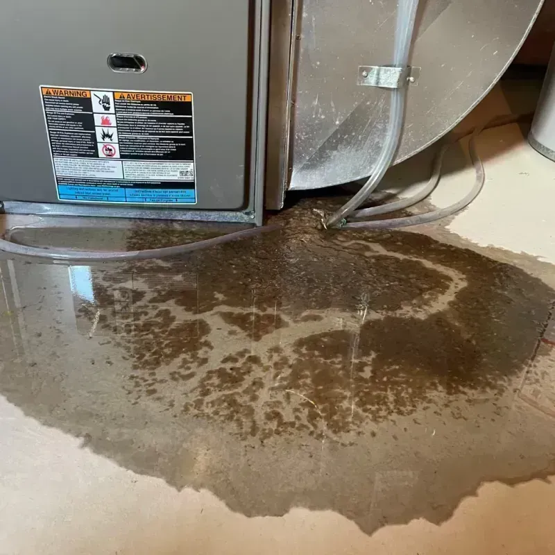 Appliance Leak Cleanup in Bridgeton, MO